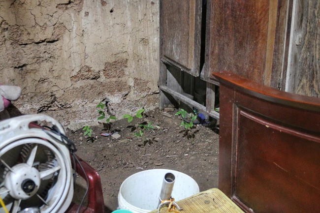 Các vật dụng, đồ đặc đều khá đơn sơ để bảo tồn nét cổ kính của căn nhà. Ảnh: Dân Việt