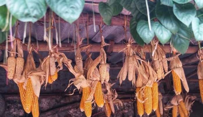 Nhiều chi tiết nhỏ trong nhà đều gợi nhớ về khung cảnh đặc trưng chỉ có ở làng quê Việt xưa. Ảnh: Lao động thủ đô