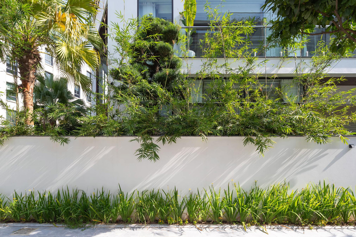 Cây trúc và cây cọ được lựa chọn trồng phủ xanh trong khu vườn hẹp đảm bảo độ bền và màu xanh bền vững đồng thời tạo ra lớp ánh sáng gián tiếp vào trong căn nhà.