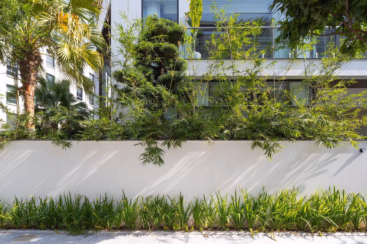 Cây trúc và cây cọ được lựa chọn trồng phủ xanh trong khu vườn hẹp đảm bảo độ bền và màu xanh bền vững đồng thời tạo ra lớp ánh sáng gián tiếp vào trong căn nhà.