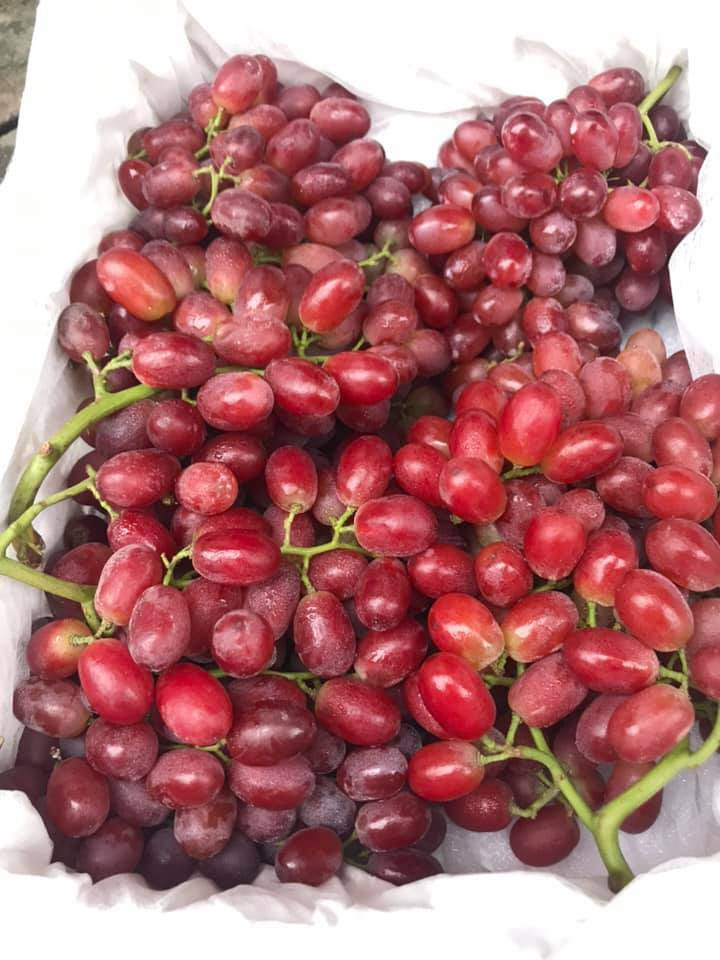 Thời gian gần đây, nho Trung Quốc bán khắp các chợ được đông đảo người tiêu dùng ưa chuộng do giá rẻ và vị khá ngọt, giòn.