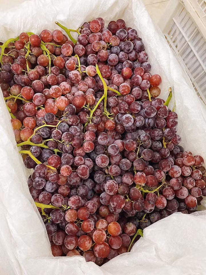 Có ngày hàng về được hơn 1 tấn nhưng không đủ trả khách, nếu mua sỉ ở các tỉnh phải đợi 1-2 ngày mới có hàng.