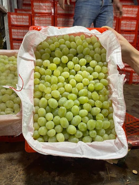 Nho xanh không hạt cũng gây sốt thị trường Việt với giá rẻ chỉ khoảng 189.000 đồng/rành 8kg, tương đương chỉ khoảng 24.000 đồng/kg.