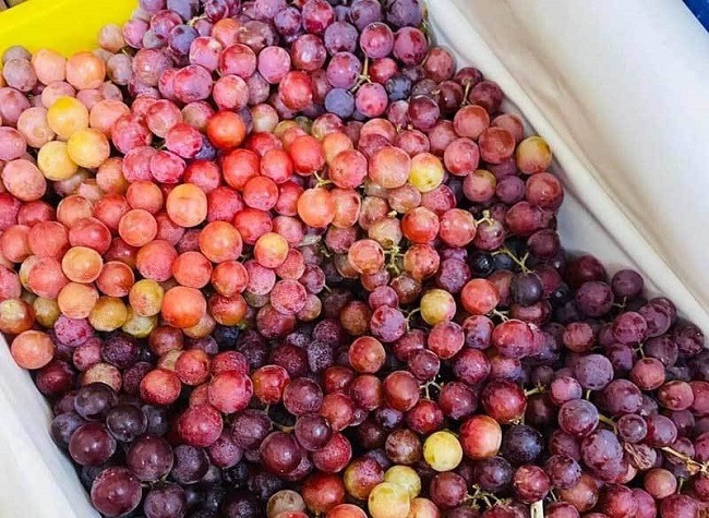 Với giá chỉ từ 30.000 - 45.000 đồng/kg, nho kẹo màu đỏ, nhỏ bằng đầu ngón tay, vị ngọt thơm cũng rất hút khách tại Việt Nam.