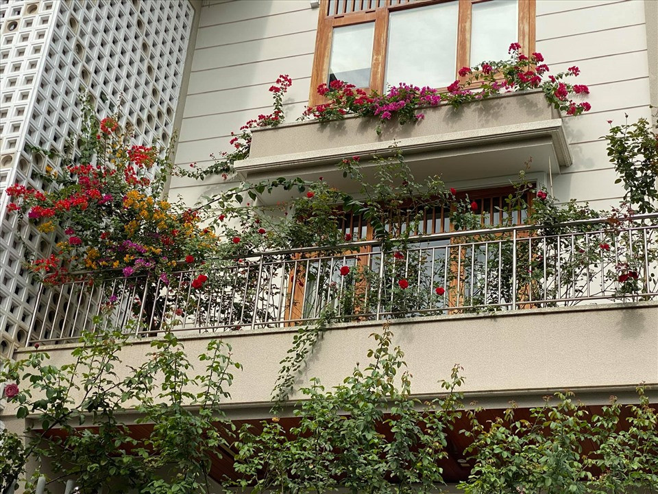 Tổ ẩm của cặp đôi được bao phủ bởi một mảng xanh mát với đầy hoa thơm. Ảnh: Lao động