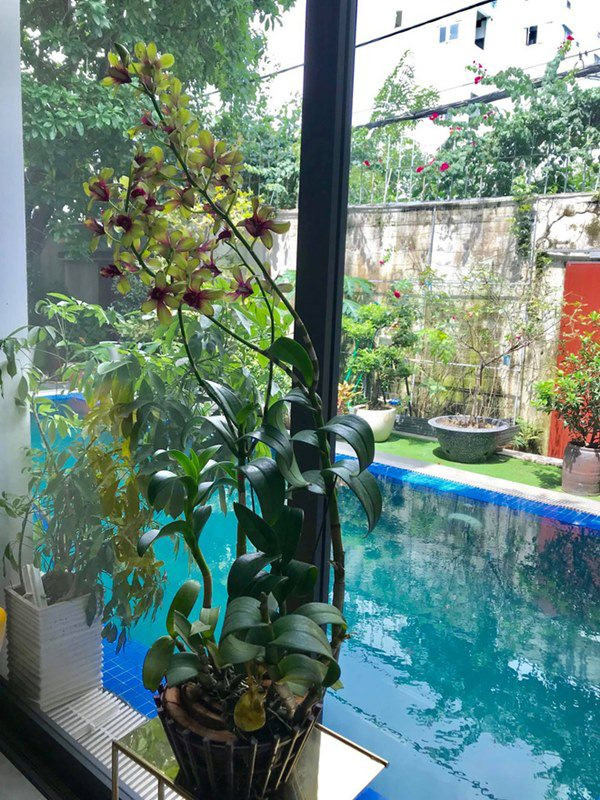 Biệt thự có tông màu trắng chủ đạo và được bao phủ bởi cây xanh.