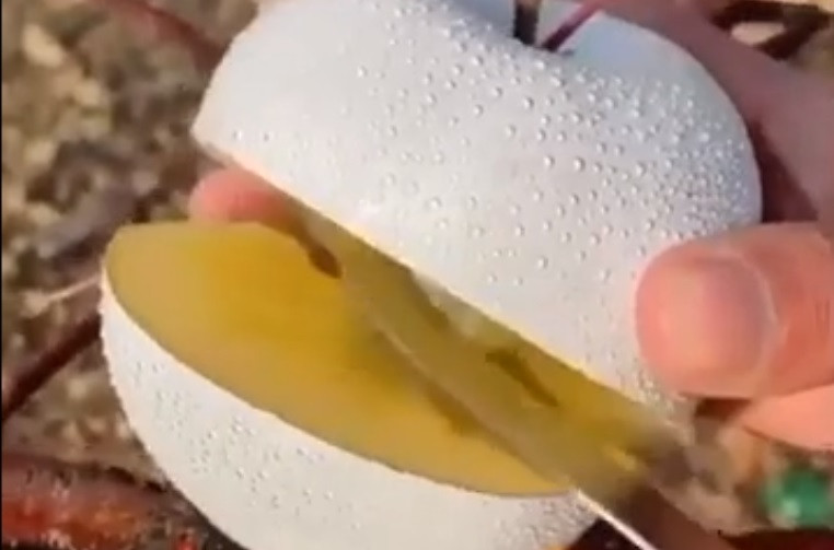 Với hàm lượng đường cao hơn táo thông thường, táo trắng là nguyên liệu hoàn hảo cho nước ép và cocktail.