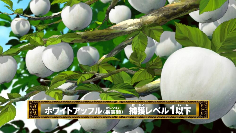 Giống táo trắng phát triển tốt ở nơi nhiều ánh nắng và thoát nước tốt.