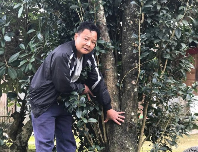 “Nga ngua” cach dai gia Viet vac bao tai tien an choi