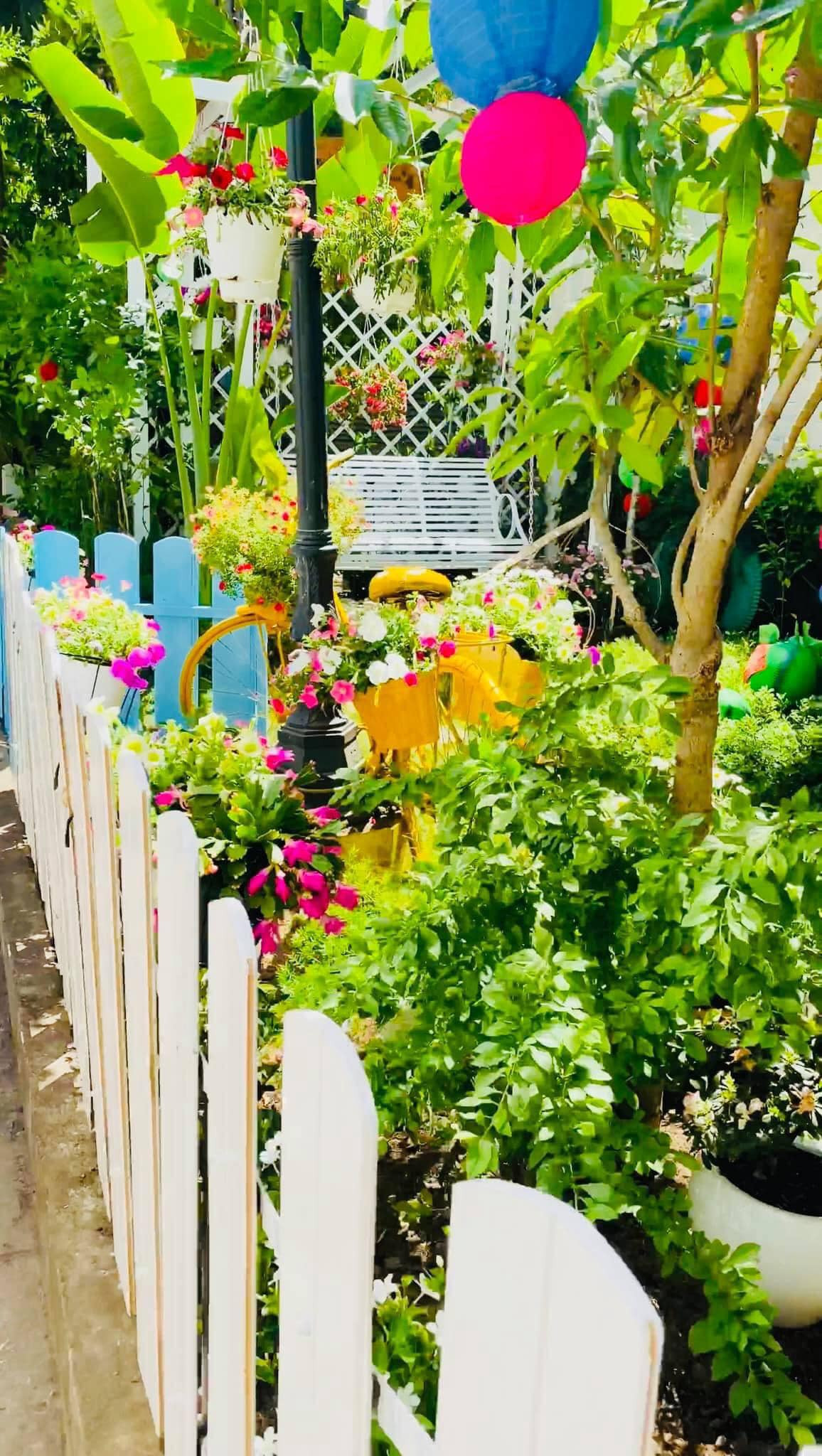 Trong khuôn viên biệt thự, Vy Oanh trồng rất nhiều cây cảnh và hoa. Nguồn ảnh: FBNV