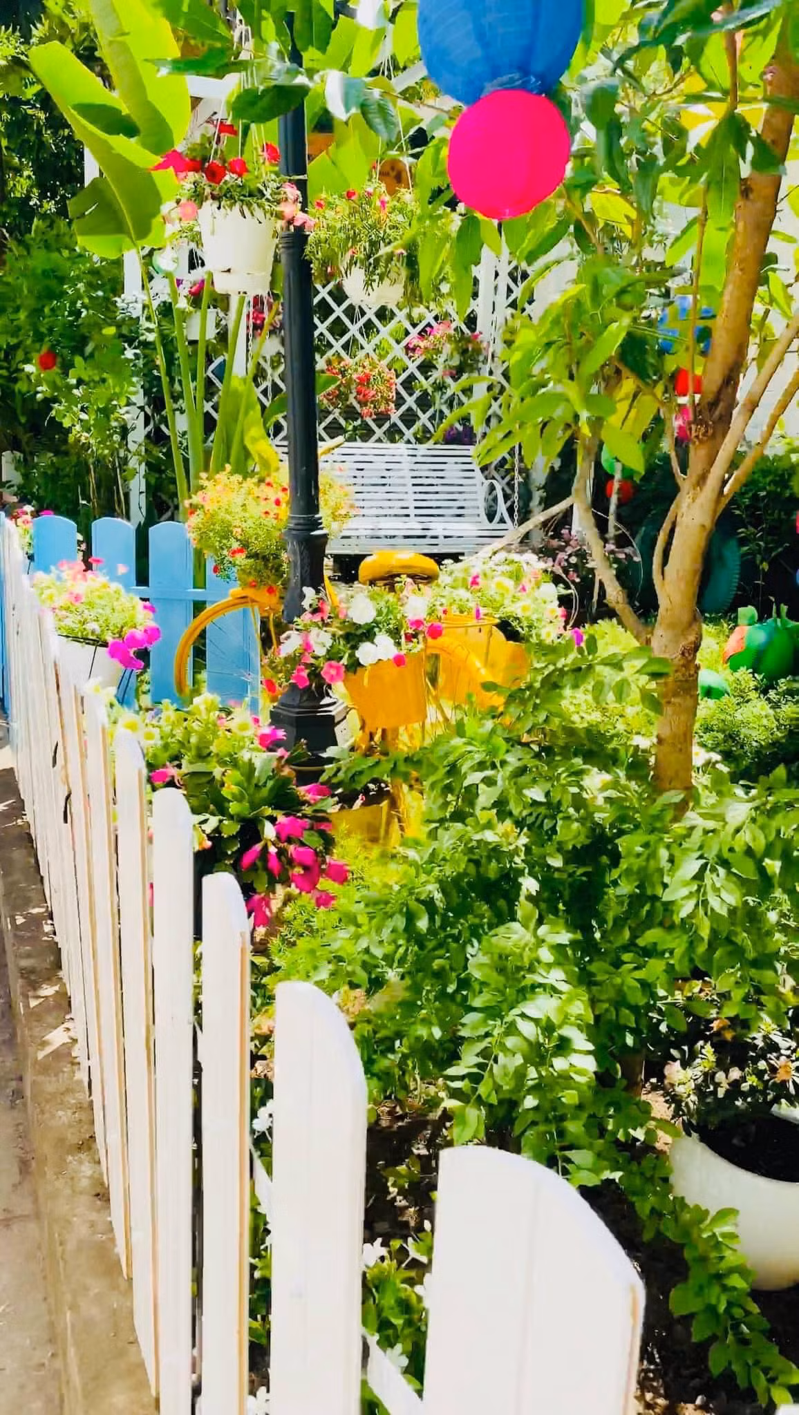 Trong khuôn viên biệt thự, Vy Oanh trồng rất nhiều cây cảnh và hoa. Nguồn ảnh: FBNV