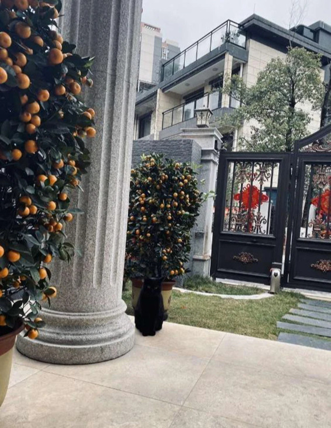  Vợ chồng Vy Á hiện sống trong căn biệt thự bề thế tại một đô thị cao cấp ở trung tâm thành phố Hàng Châu. Ảnh: Sohu