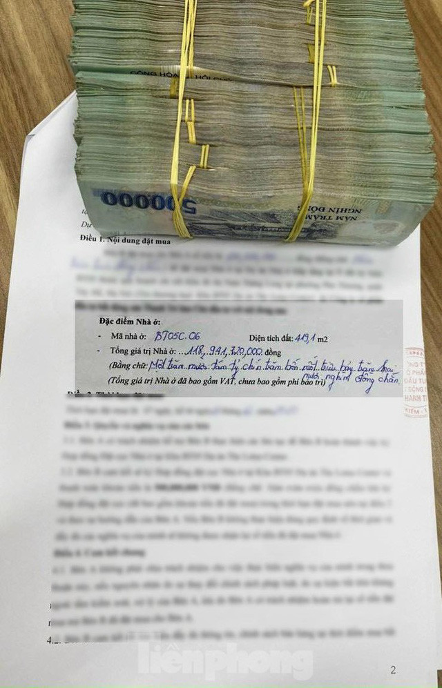 Khu biet thu gia “khung” gan 120 ty/can cua chu tich Vimedimex vua bi khoi to-Hinh-2