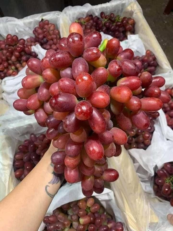 Cô Lan, một tiểu thương bán hoa quả tại chợ ở Hoàng Mai (Hà Nội) chia sẻ, nho ruby không hạt đang rất hút khách. Quả ở mỗi chùm rất dày, chùm nhỏ nhất khoảng 1kg, nặng nhất khoảng 2kg.