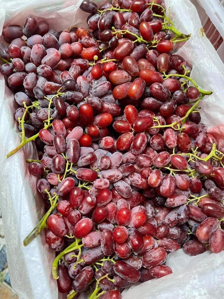 Theo chị Duyên, loại nho này đang "gây sốt" thị trường vì ăn rất giòn, ngọt, lại không có hạt. Chị nói: "Tôi không rõ xuất xứ từ đâu nhưng nhìn khá giống nho Úc".