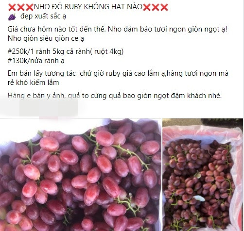 Nếu mua cả rành 5kg, giá từ 250.000 - 260.000 đồng. Cũng có tiểu thương bán cả rành 8kg với giá chỉ 270.000 đồng.