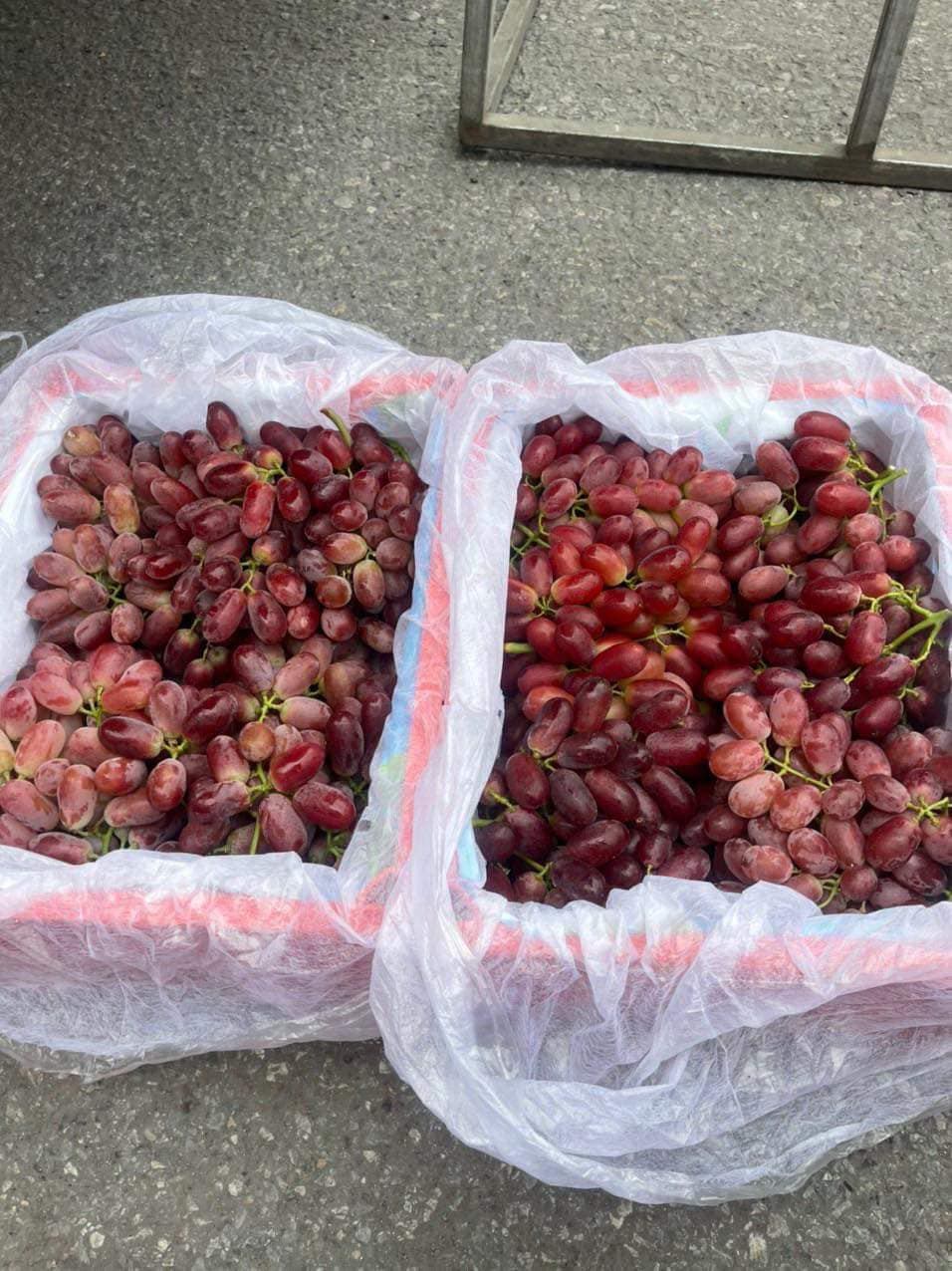 Chị Duyên (Thanh Trì, Hà Nội) hí hửng khoe vừa mua được thùng nho ruby đỏ 5kg còn tươi ngon với giá chỉ 250.000 đồng.