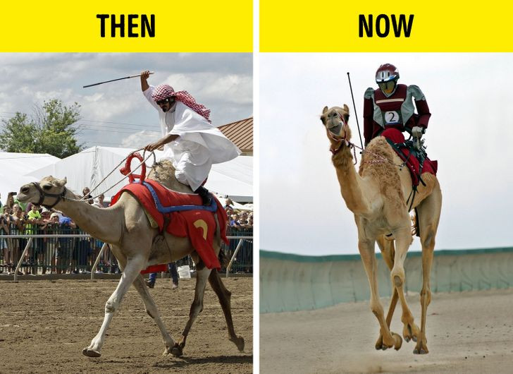 Đua lạc đà là một môn thể thao nổi tiếng ở Dubai. Đáng ngạc nhiên nhất là robot cũng được tham gia cuộc thi thay vì con người. Mỗi con robot như thế này có giá dao động từ 3.000USD (khoảng 68 triệu đồng) đến 10.000 USD (khoảng 227 triệu đồng).