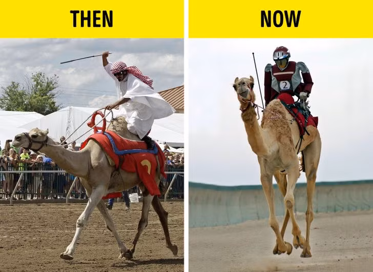 Đua lạc đà là một môn thể thao nổi tiếng ở Dubai. Đáng ngạc nhiên nhất là robot cũng được tham gia cuộc thi thay vì con người. Mỗi con robot như thế này có giá dao động từ 3.000USD (khoảng 68 triệu đồng) đến 10.000 USD (khoảng 227 triệu đồng).