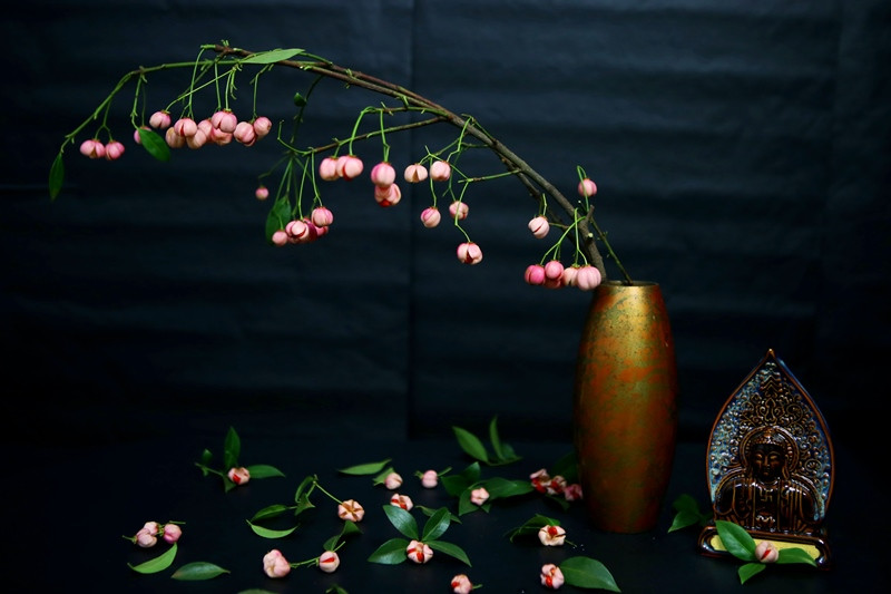 Từng chùm quả lồng đèn rủ mình yểu điệu khiến chị em mê mẩn. Ảnh: Baodautu