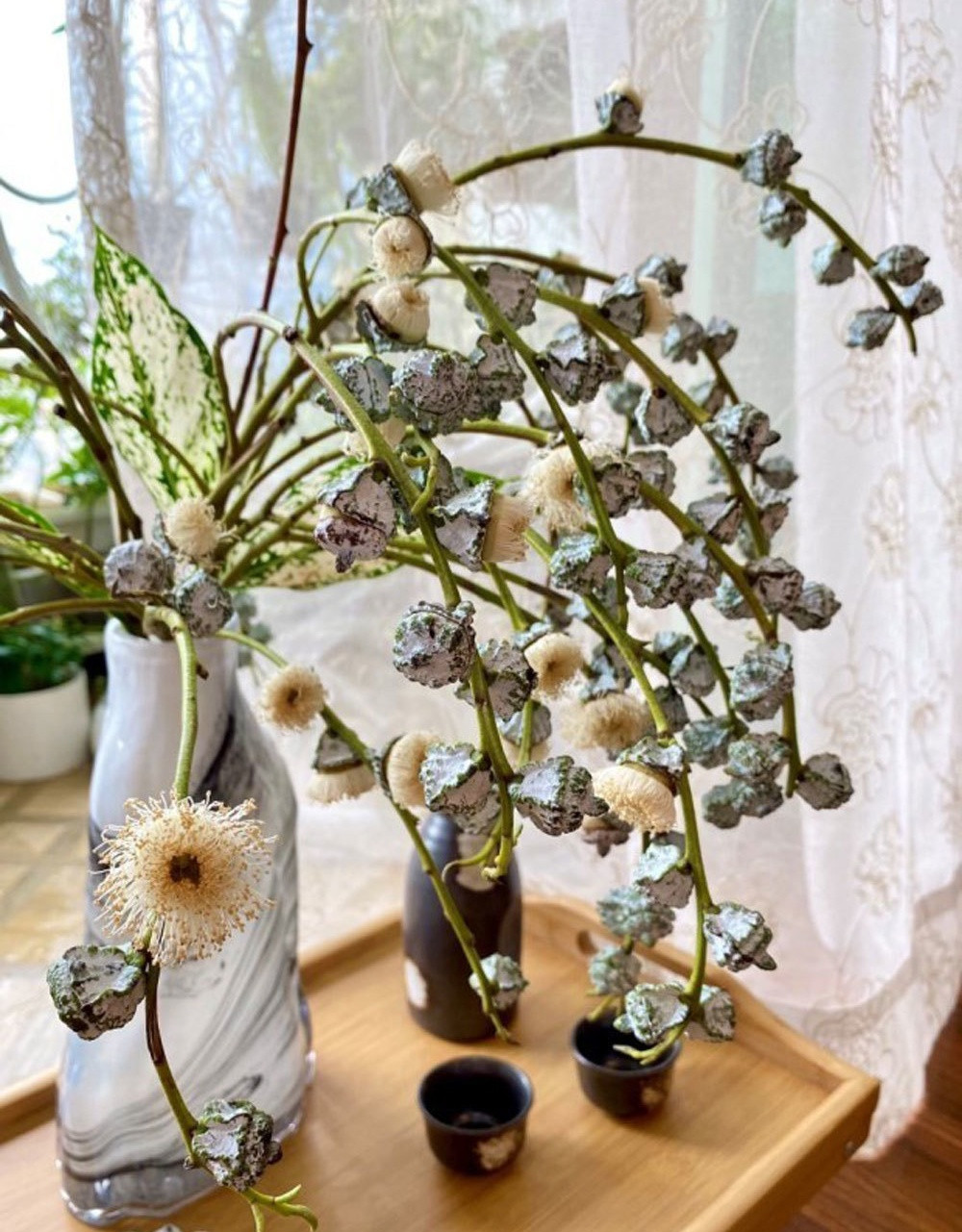 Mỗi bó cành bạch đàn gồm 4-6 cành, dài khoảng 50-60cm được bán từ 100.000 - 130.000 đồng/bó. Ảnh: Dân Việt