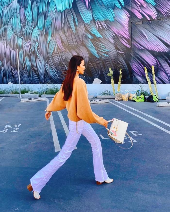 Phạm Hương sở hữu nhiều dòng túi khác nhau của thương hiệu này có mức giá thấp nhất cũng rơi vào khoảng 300 triệu đồng.