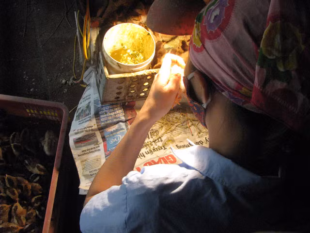 Dù thu nhập cao nhưng rất ít người làm công việc này. Bởi, nhiều người chăn nuôi đã lâu năm nhưng vẫn chưa phân biệt chính xác được giới tính từng con. Ảnh: Dân Việt