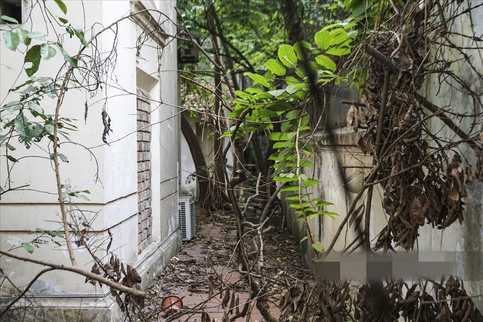 Toạ lại tại khu đất vàng của quận Hoàn Kiếm song ngôi nhà này đã bị bỏ hoang nhiều năm, gây lãng phí. Ảnh: Lao động