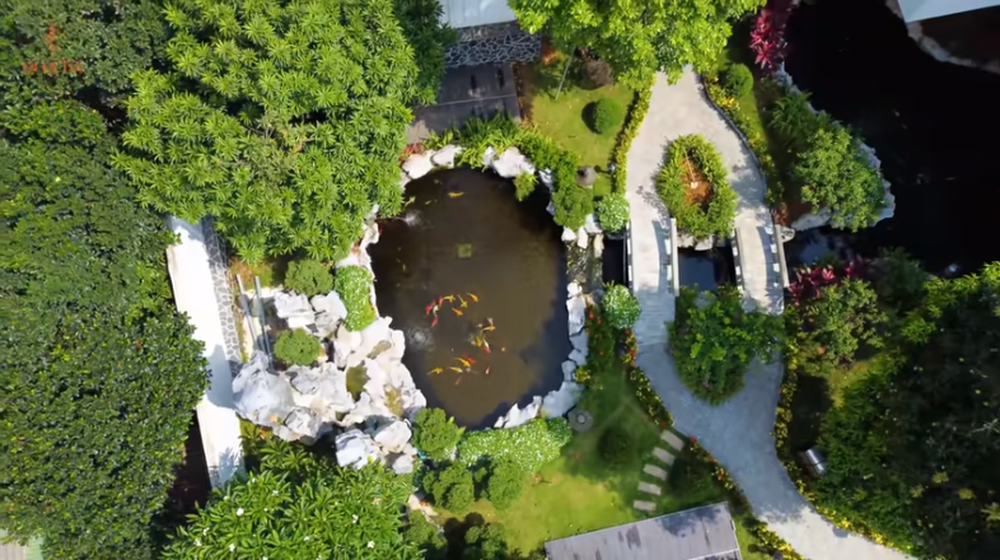 Bể cá Koi ôm quanh nhà đẹp mắt.