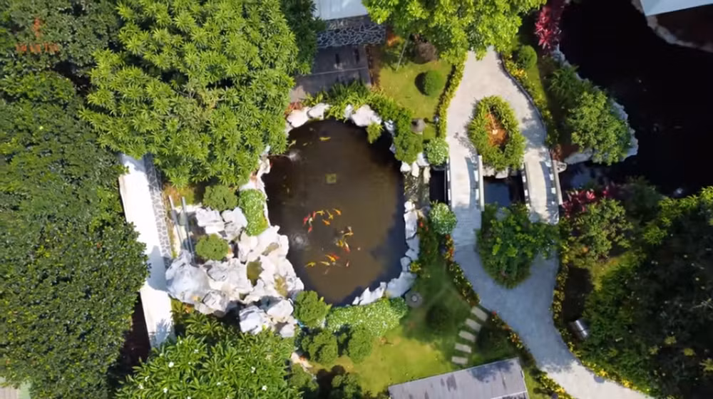 Bể cá Koi ôm quanh nhà đẹp mắt.