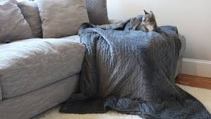 Tương tự, đầu tháng Giêng trước Tết âm lịch có một ngày hội dành cho các mặt hàng gối và ga giường gọi là "White Sales”. Vào dịp này, các cửa hàng chăn ga gối đệm thường giảm giá mạnh 70 - 75% để tăng doanh số bán hàng.