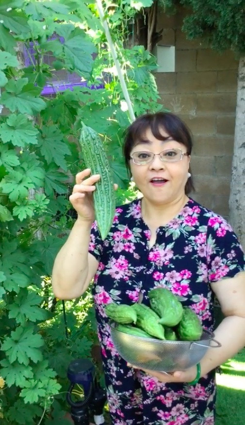 Những loại cây trái tươi sạch trông thích mắt. Ảnh: FBNV