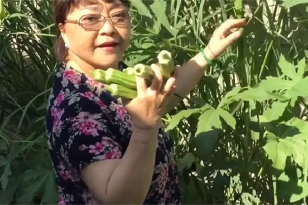 Trên khu đất 1.000 m2, gia đình ca sĩ Hương Lan chỉ dành 360 m2 cho diện tích nhà ở, phần còn lại dùng để trồng cây, làm vườn. Ảnh: FBNV