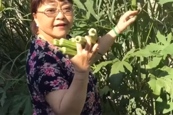 Trên khu đất 1.000 m2, gia đình ca sĩ Hương Lan chỉ dành 360 m2 cho diện tích nhà ở, phần còn lại dùng để trồng cây, làm vườn. Ảnh: FBNV