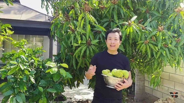 Ngoài cây ăn quả, nam nghệ sĩ còn dành một góc nhỏ để trồng các loại khác như cà chua, hành, rau quế và ớt. Ảnh: FBNV