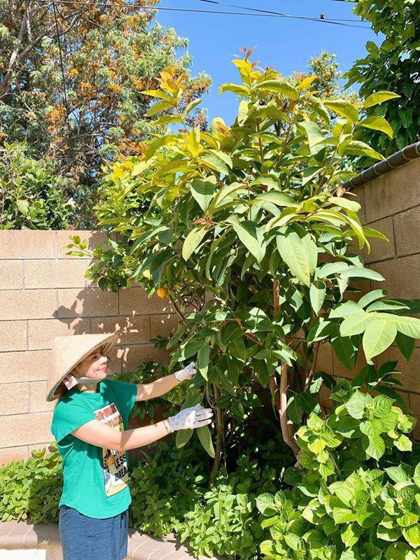 “Búp bê” Thanh Thảo có một cuộc sống giản và bình yên bên chồng con tại Mỹ. Thời gian phải tạm ngưng công việc do dịch bệnh cô lại có thêm thời gian để chăm lo cho gia đình và săn sóc khu vườn. Ảnh: FBNV