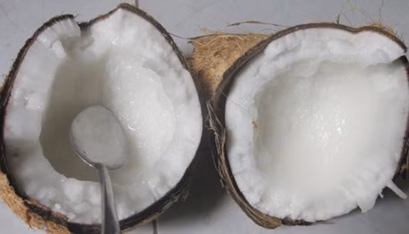 Một trái dừa sáp hiện nay được bán với giá khoảng 150.000 đồng, có nơi có nơi còn lên đến 300.000 đồng, trong khi giá của một trái dừa thường chỉ giao động từ 6.000-12.000 đồng/trái. Ảnh: Foody