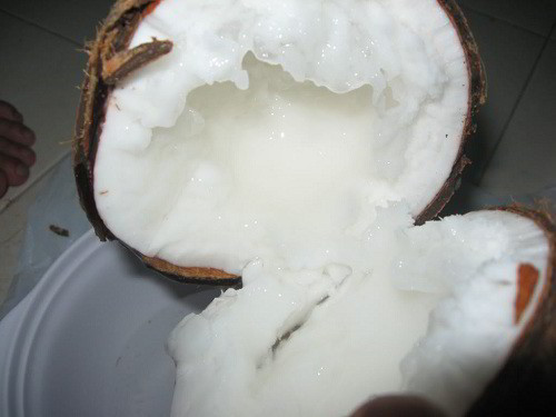 Cùi dừa sáp béo hơn dừa thường, nước dừa đặc sệt trong veo như sương sa. Ảnh: Internet