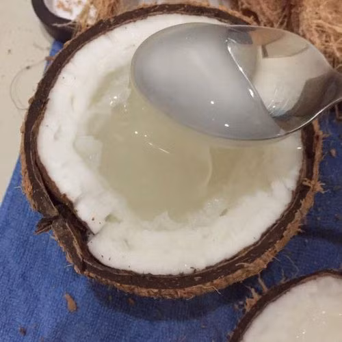 Có những quả dừa sáp khi bổ ra lớp cơm trắng ngần lan hết quả dừa, chỉ còn sót lại một ít nước sền sệt giống như quả dừa xiêm người ta làm thạch. Ảnh: Okfood