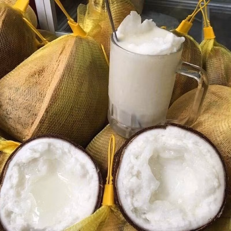 Về hình dáng, dừa sáp giống như quả dừa bình thường nhưng là loại đặc ruột, cơm dày, mềm dẻo. Ảnh: Cao Nghe Fruits