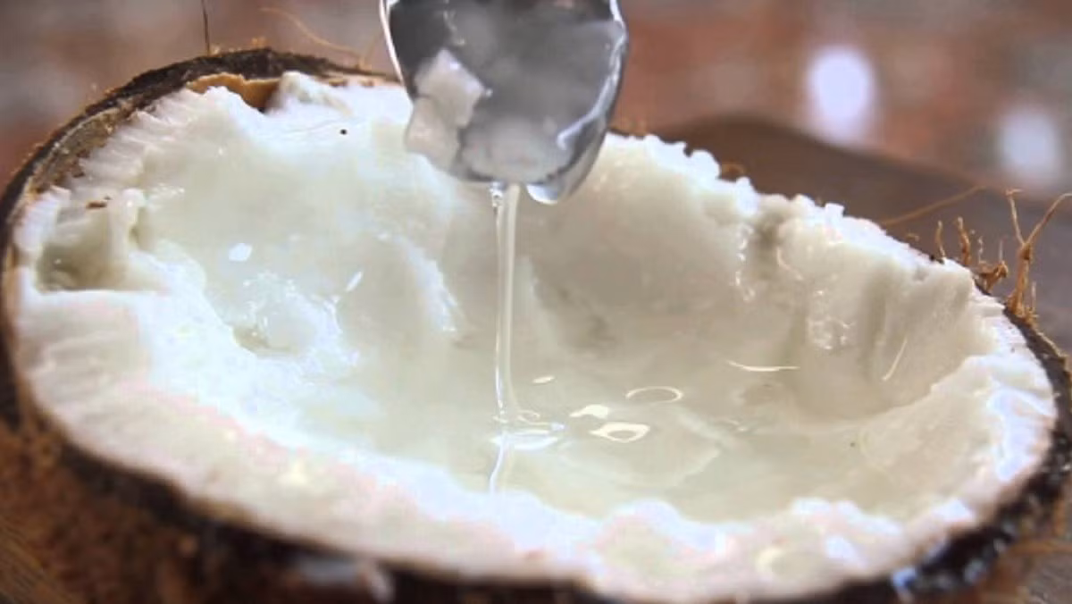 Với giá bán lẻ từ 30 đến 35 Đô la Úc/1 quả (tương đương khoảng 600.000 đồng), dừa sáp Trà Vinh là một mặt hàng có giá trị cao. Ảnh: Công ty TNHH Chế biến dừa sáp Cầu Kè.