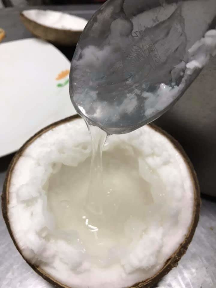 Dừa sáp được cho là chứa nhiều axit béo bão hòa, không những không gây tăng cân, béo phì, mà còn giúp giảm cân hiệu quả. Ảnh: Voso