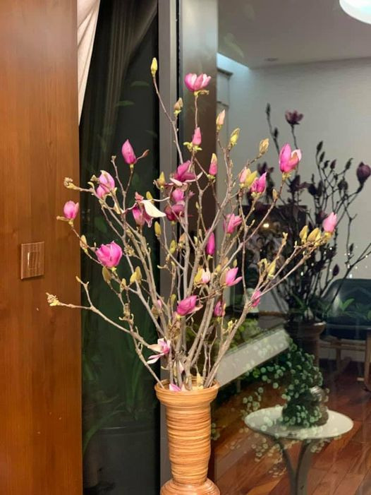 Ngoài cúc Glixia, những cành mộc lan tươi cũng đang là mặt hàng hút khách trên chợ mạng.