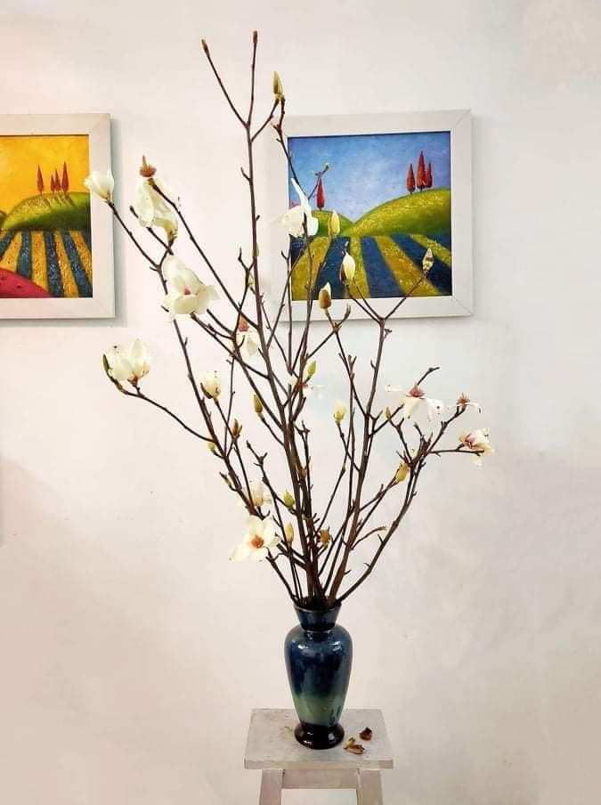 Theo một chủ shop hoa ở Hà Nội, mộc lan tươi ít khi nhập được, nhiều khi phải đặt hàng tới cả tháng, cũng chỉ được vài chục cành. Hàng còn chưa về tới nơi khách đã đặt hết.