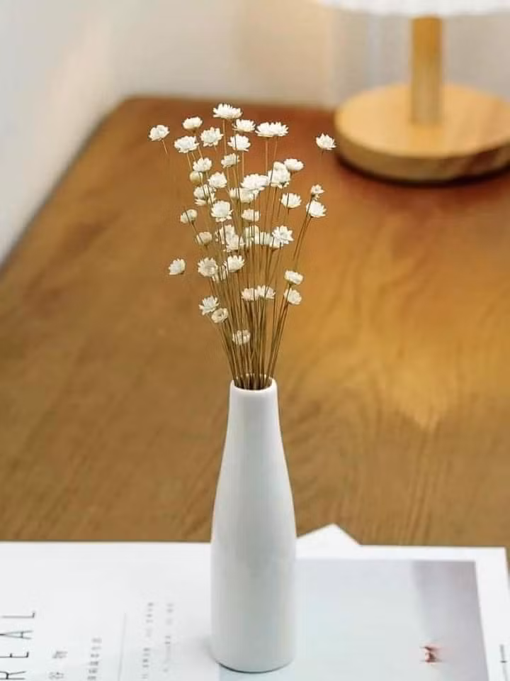 Hoa cúc nhiệt đới nhỏ chỉ bằng đầu đũa, đường kính từ 0.5 - 1cm, chiều dài thân từ 40 - 50 cm. Với công nghệ sấy lạnh, hoa có thể chơi được 5-10 năm mà không sợ mốc, sợ héo.