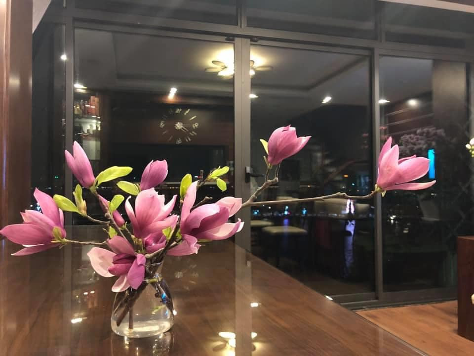 Hoa mộc lan rất thơm, cánh dầy bóng và có khá nhiều màu. Tuy nhiên, hoa mộc lan thường nhanh tàn, khi hoa nở chỉ giữ được 3 tới 4 ngày.