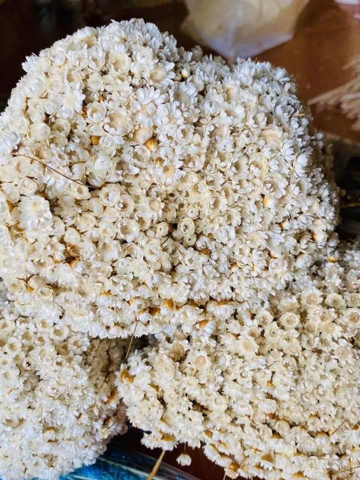 Theo một số người bán, trung bình mỗi ngày có khoảng 50 - 60 đơn hàng (tương đương gần 3 vạn bông cúc). Nhiều ngày, hàng về chậm còn không kịp bán cho khách.