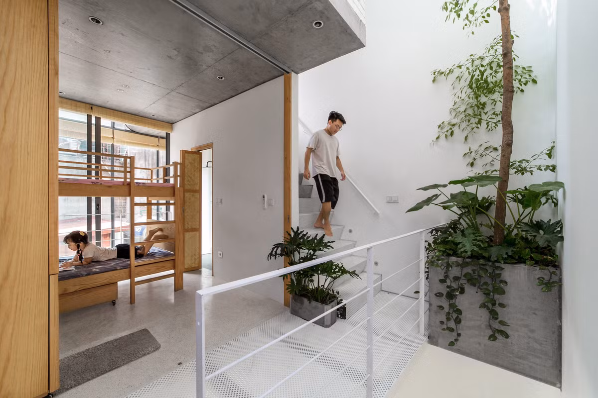 Ý tưởng chính cho ngôi nhà ống 5 tầng hẹp là tận dụng tối đa ánh sáng ban ngày và thông gió tự nhiên, trồng cây xanh cũng như liên thông không gian các tầng để thành viên trong gia đình có thể giao tiếp trực quan được với nhau.