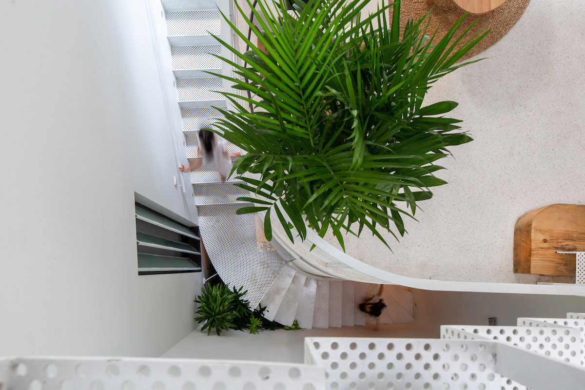 Các bồn trồng lớn được kết nối với hệ thống tưới tự động, giúp dễ dàng cho việc bảo trì. Nguồn ảnh: Hoang Le, ODDO Architects