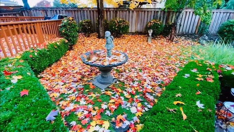 Ngoài đi diễn nam ca sĩ gần dành thời gian còn lại ở nhà, đưa con đi chơi và chăm sóc vườn cây.